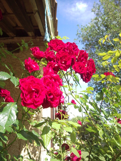 L'Assaladou 3 Avontuur