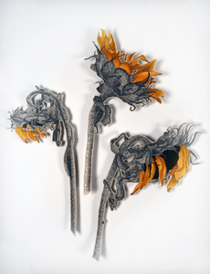 De natuur toont veerkracht. Ieder jaar verwelken de bloemen om het jaar erop weer  te ontluiken.