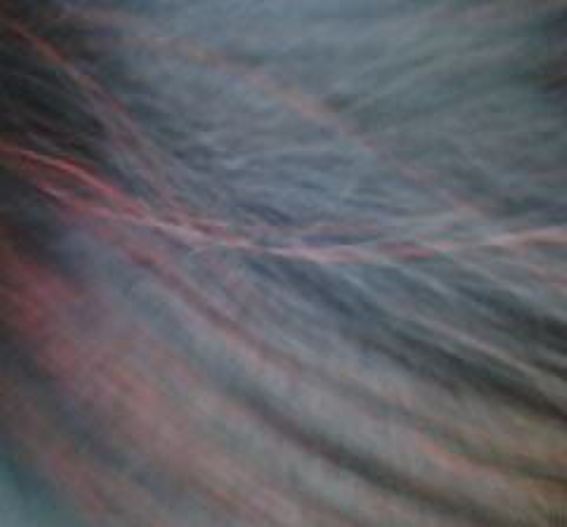 Under the Scattered Flow!