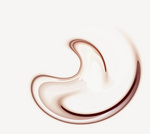 Polarisatie van verschijnselen