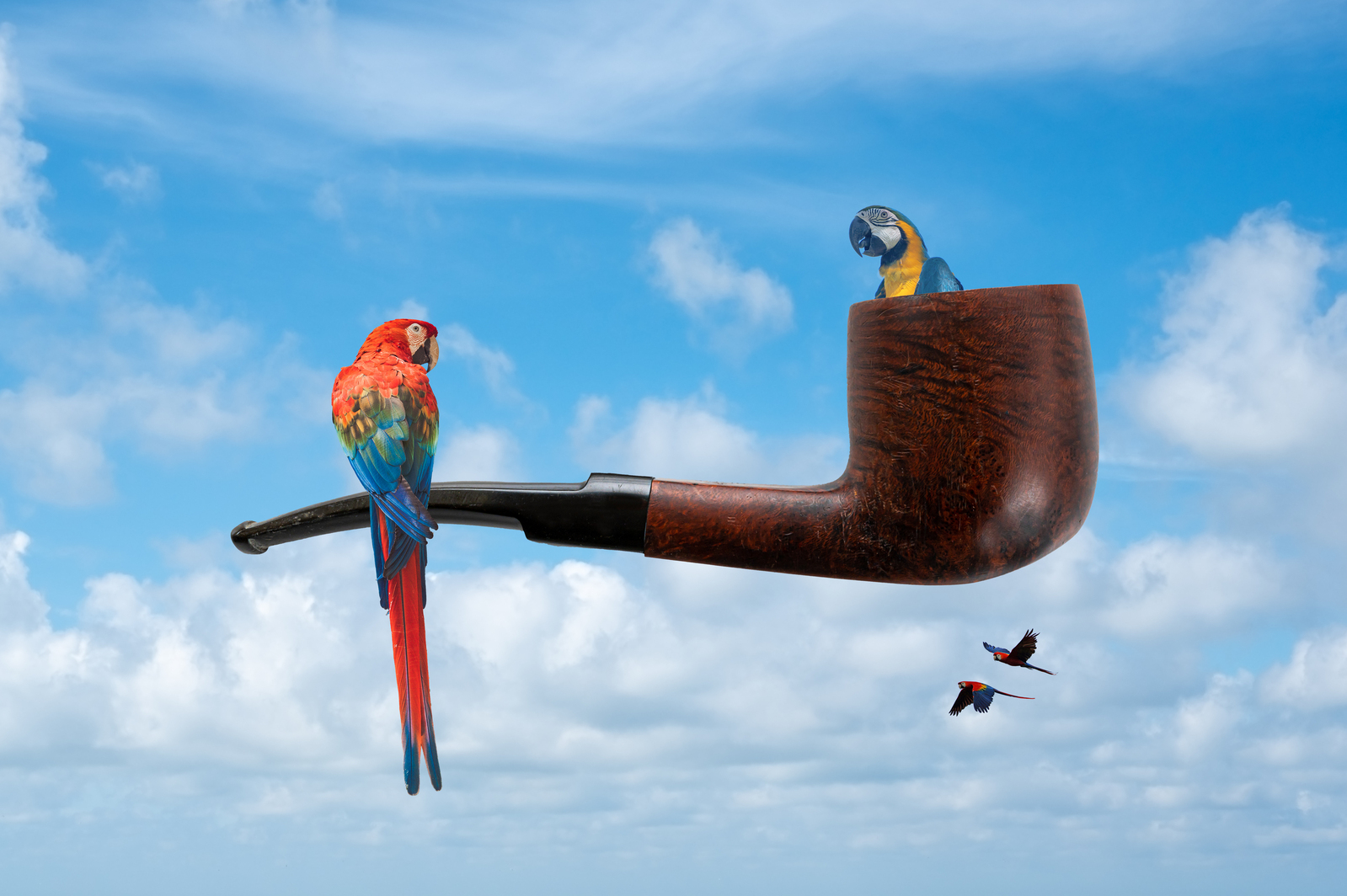 “Ceci n’est pas une pipe” zei Magritte