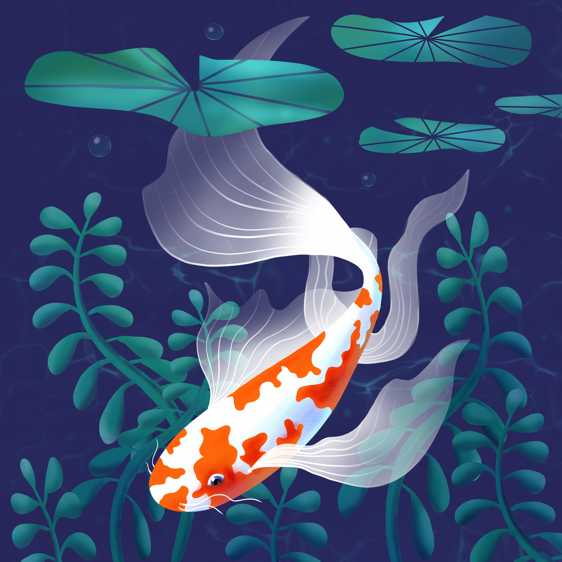 koi
