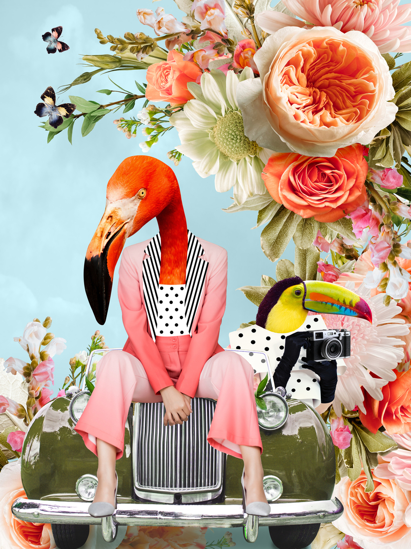 De fotografen; collage roze en lichtblauw