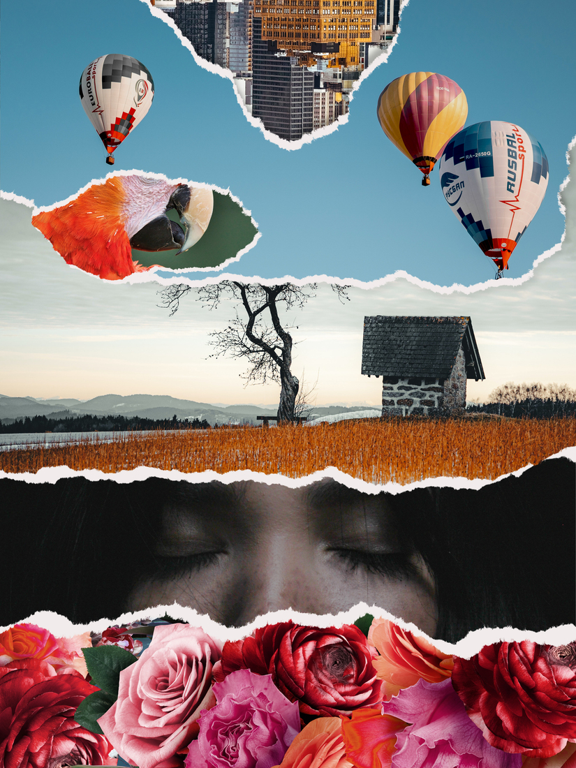 Dromen van een tiny house