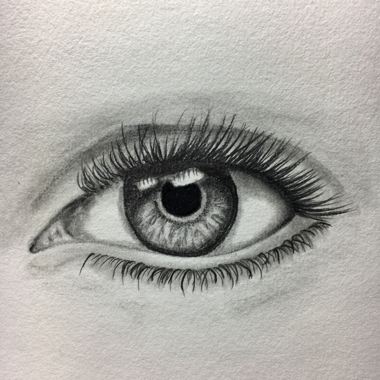 Oog