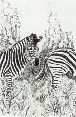 Zebras