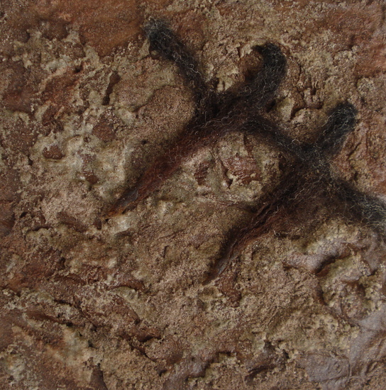 materie Texelse wol 3