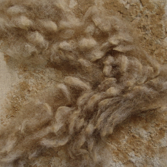 materie Texelse wol 5