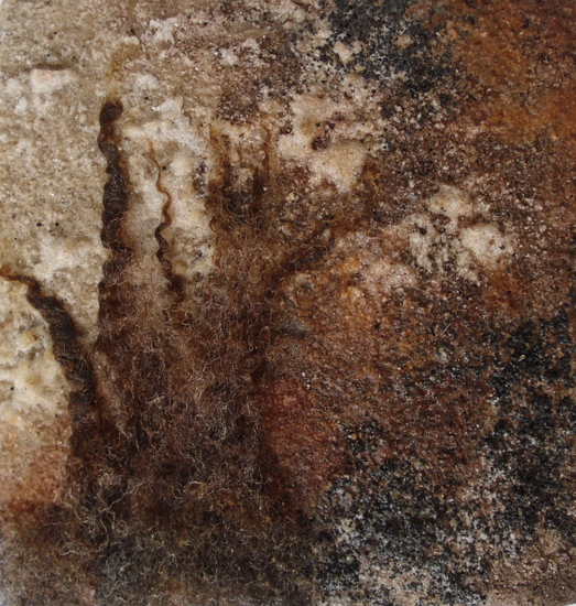 materie Texelse wol 6