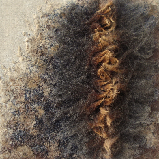 materie Texelse wol 7