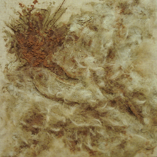 materie Texelse wol 8