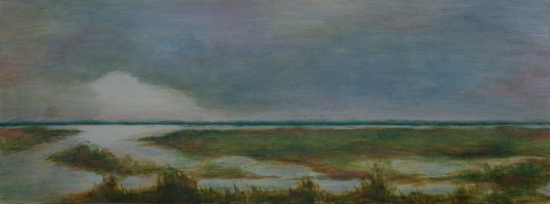 Nieuwkoopse plassen 1