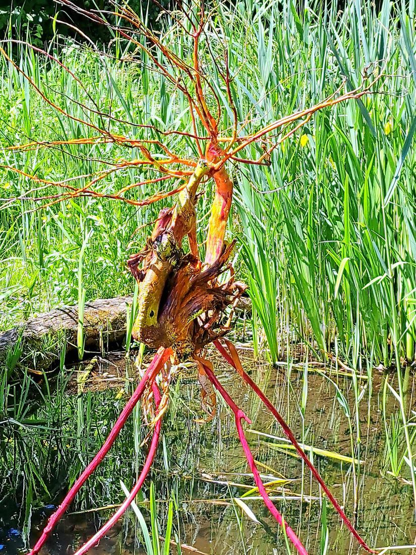Tree-animal