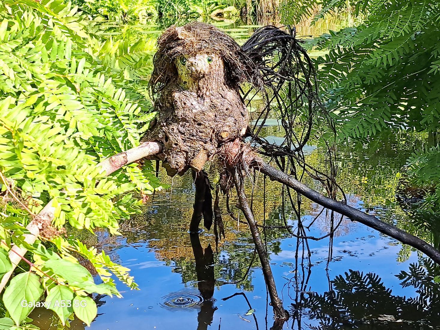 tree-animal