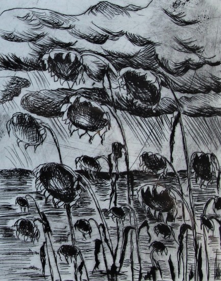 uitgebloeide zonnebloemen