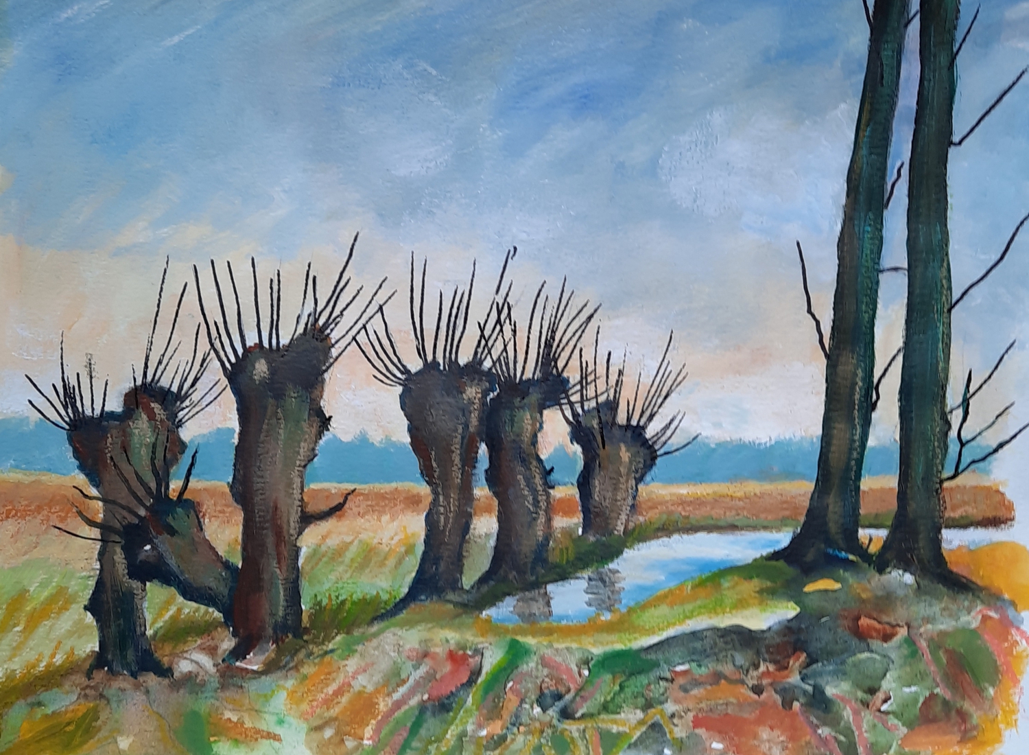 landschap met knotwilgen