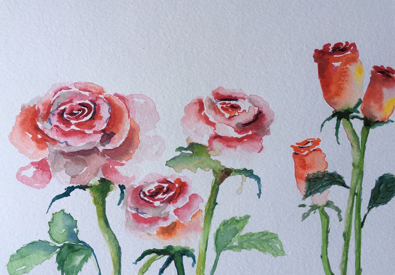 Rozen voor de aquarelcursus