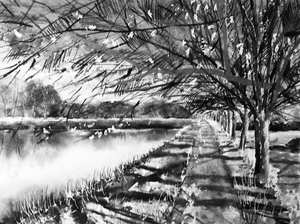 Werk gemaakt in eerdere perioden. Arcyl, olieverf, aquarel technieken