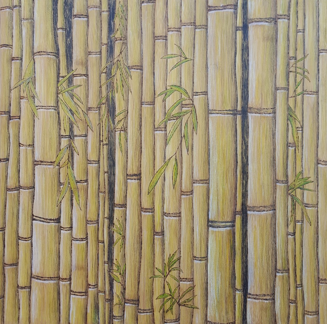 Bamboe