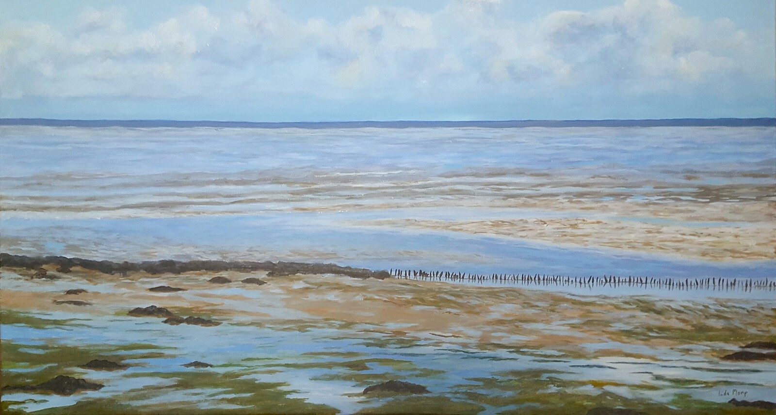 Wadden bij Striep (Terschelling)