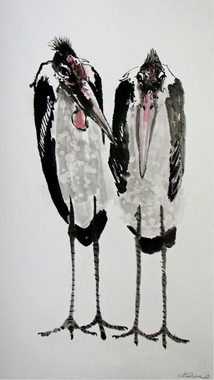 marabou storks