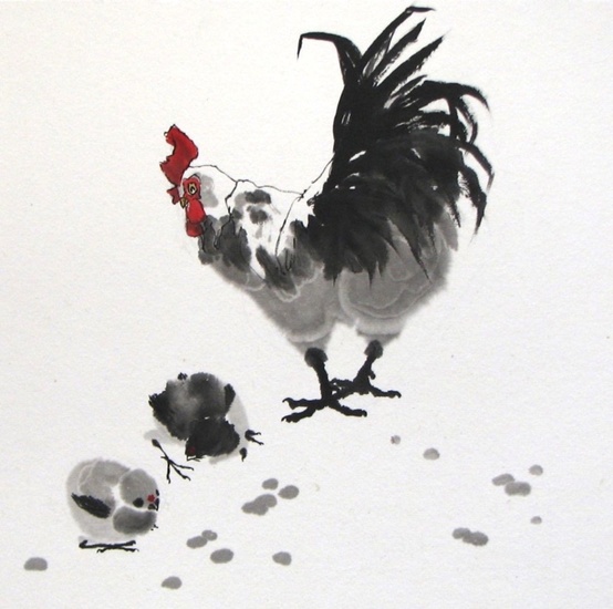 Rooster & Chickens