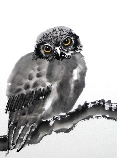 Owlet