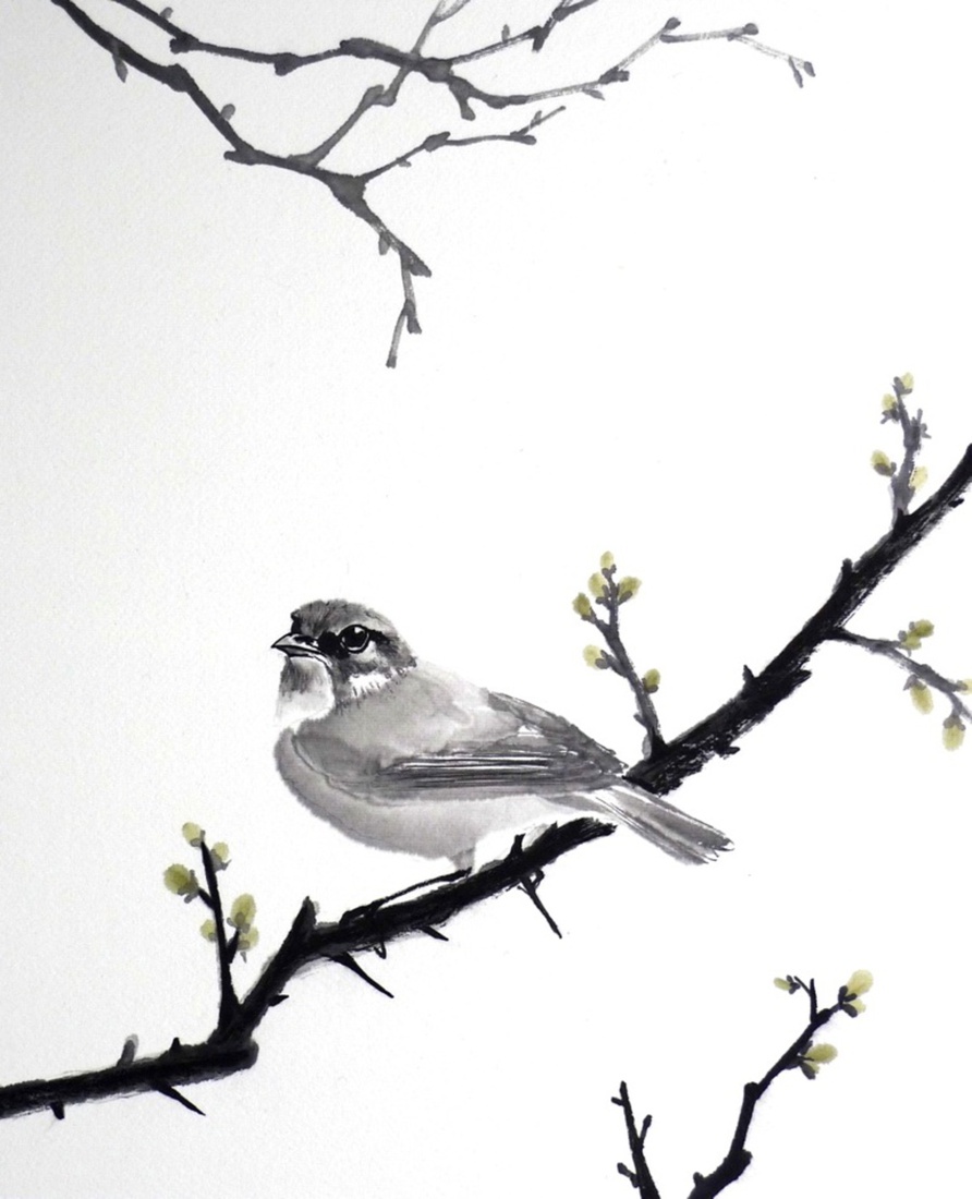Warbler
