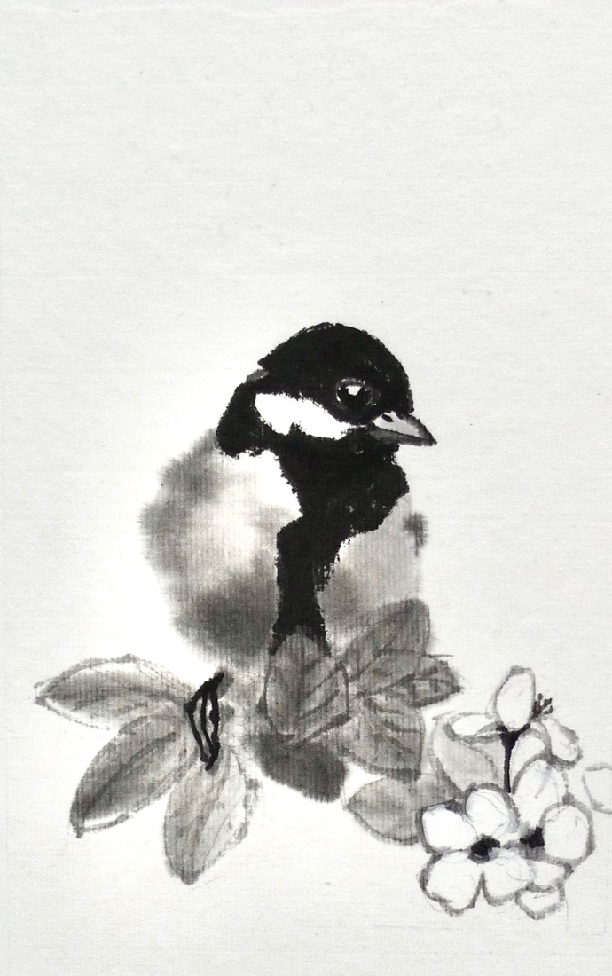 Coal tit