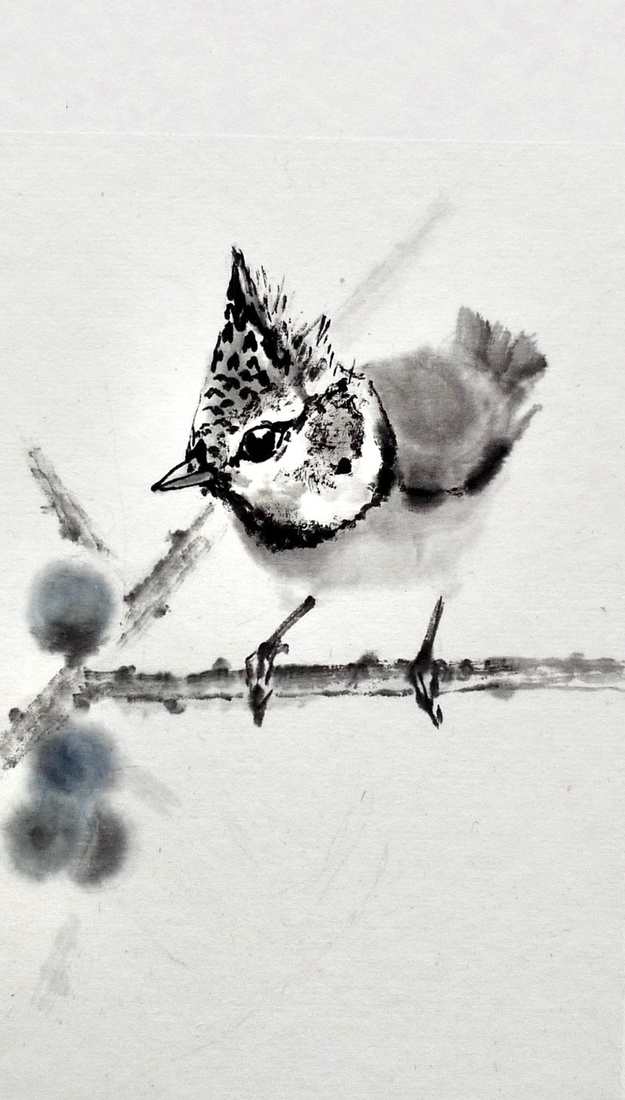 Crested tit