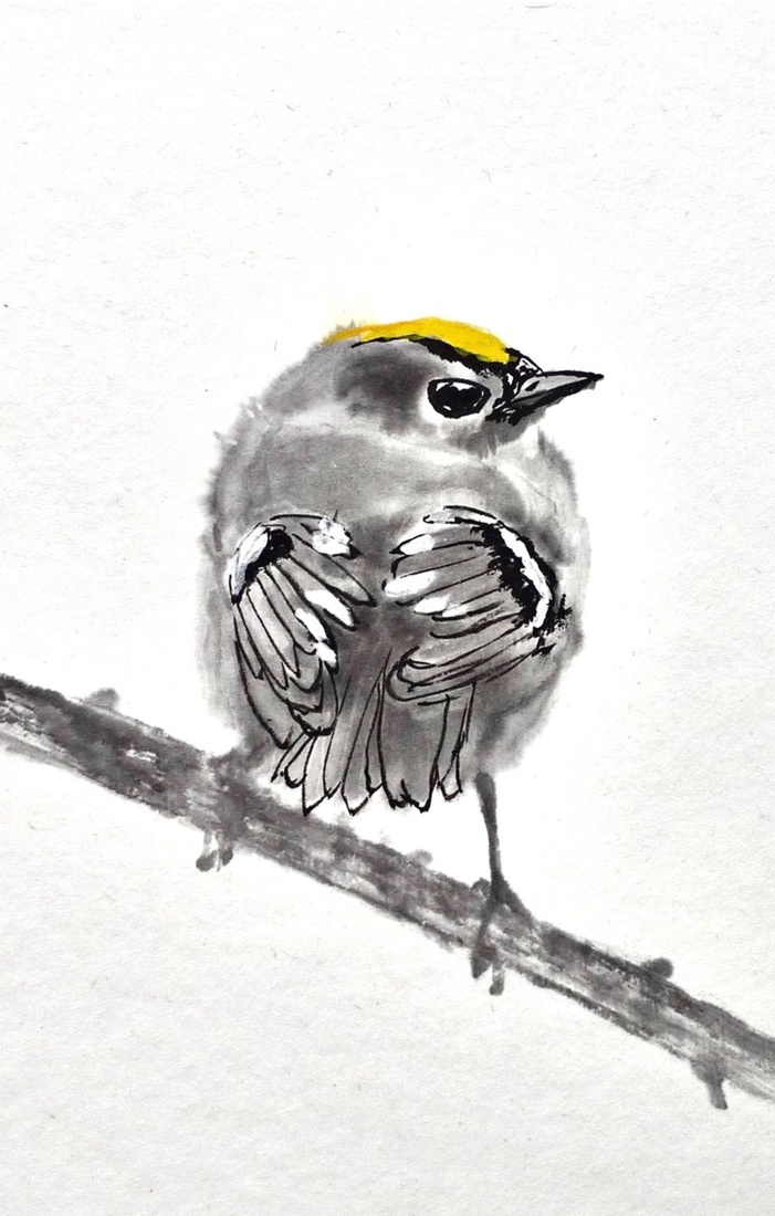 Goldcrest