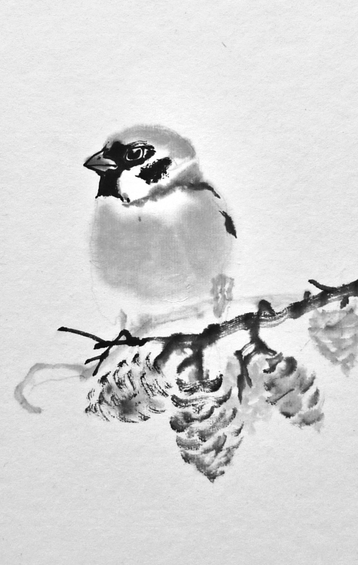Tree sparrow