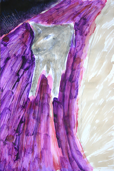 dog at night on the road