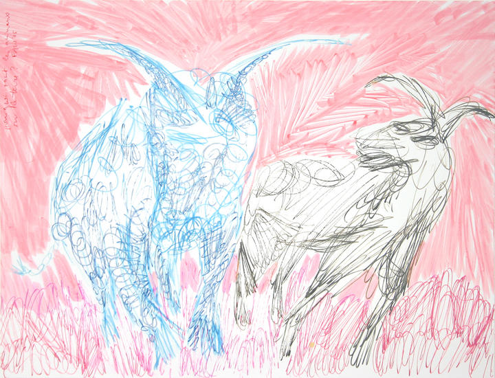 pourquoi sont les animaux sur la terre