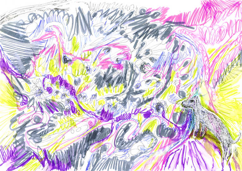 dog overlooking valley