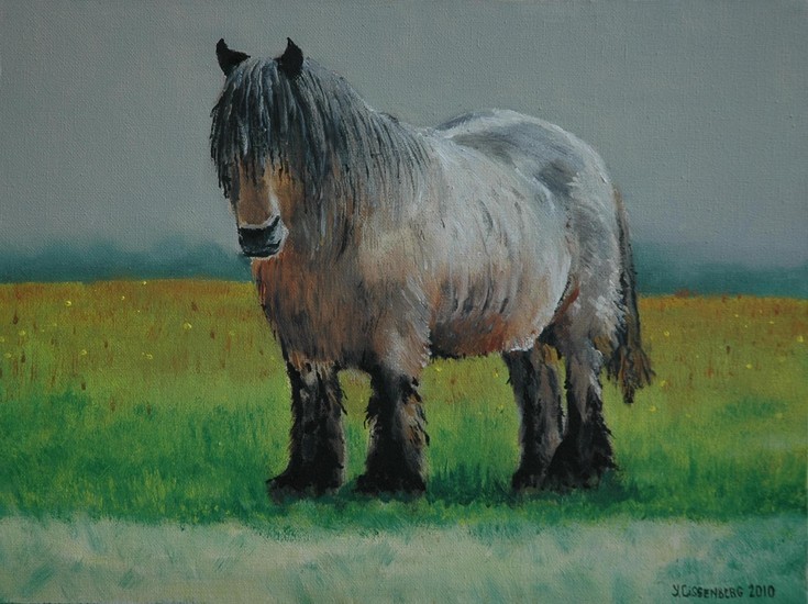 Geert, 't rasta-peerd