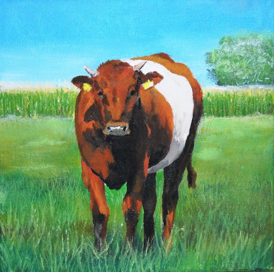 Lakenvelder in 't zonnetje