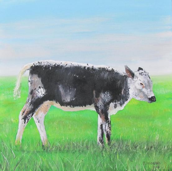 (zwart) witrik kalfje