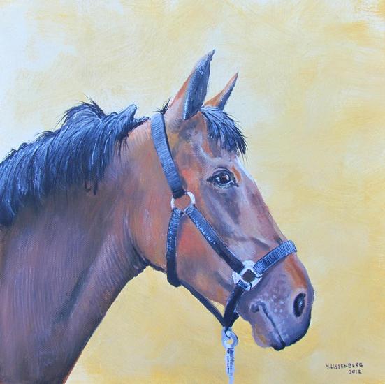 Ode aan het paard van Herman