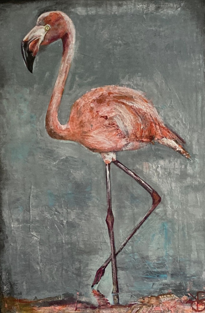 Phoenicopteridae unus