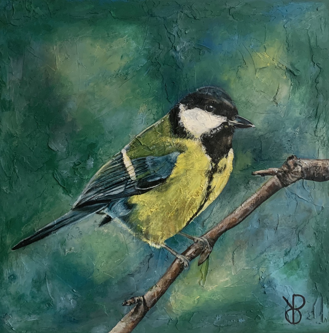 Parus major