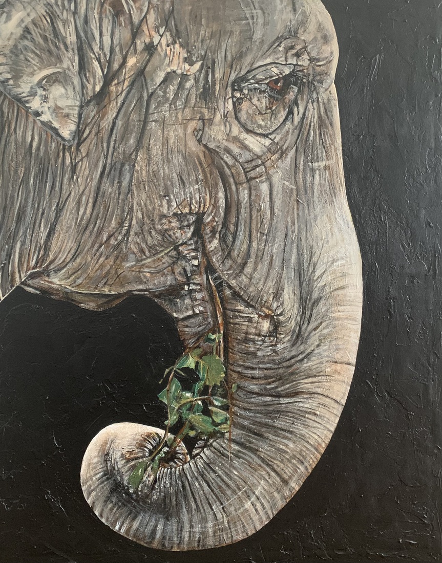 Elephantidae quinque