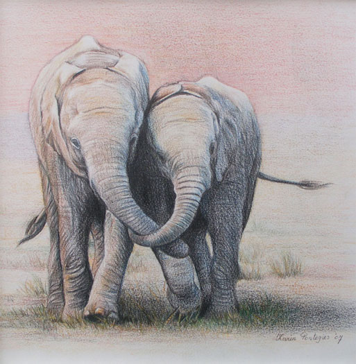 Jonge olifanten