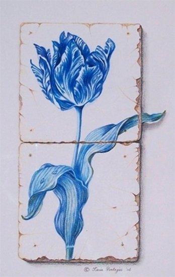 Delfts Blauwe tulp