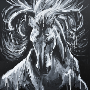 Paardenkunst, kunst van paarden. Levendig, speels, artistiek en vrij!