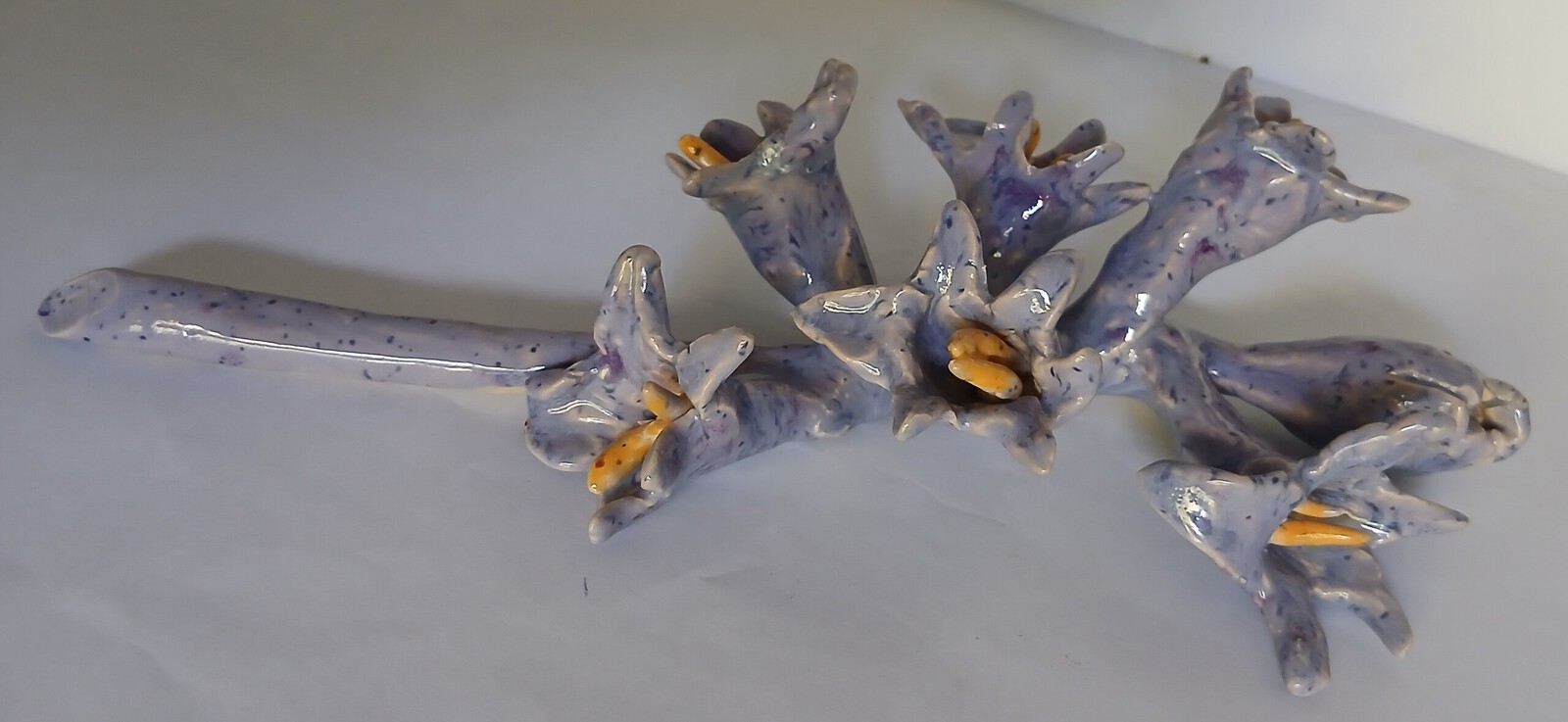  Vingerhoedskruid bloemen
