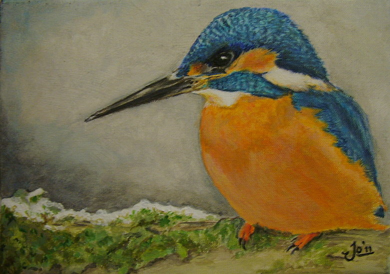 IJsvogel