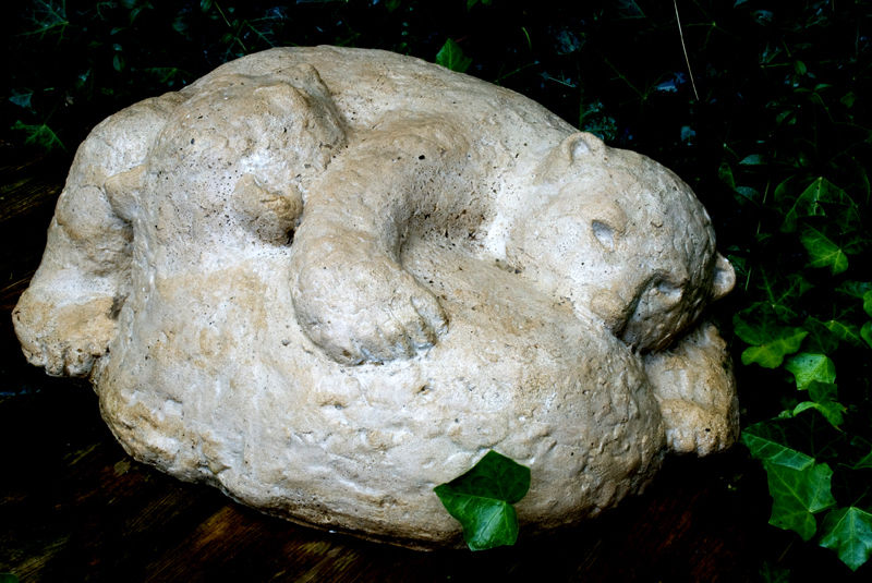 stoeiende ijsbeertjes