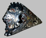 basisvormen