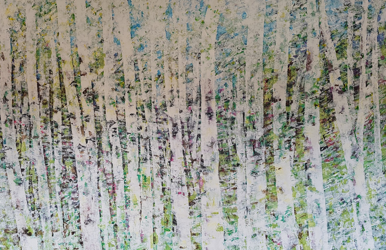 Aspen Trees 2019